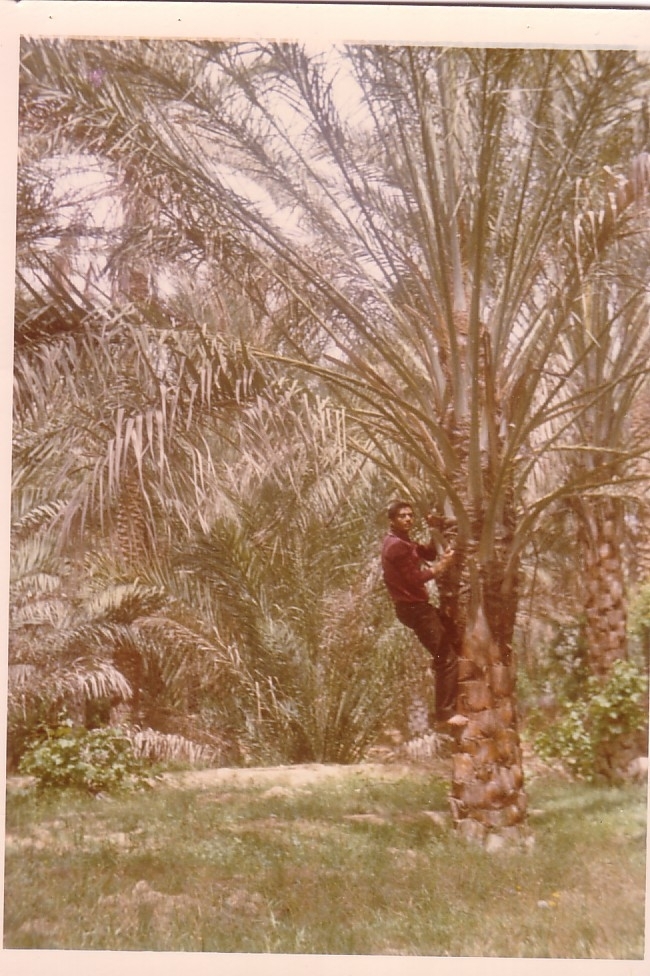 Site de rencontre djelfa